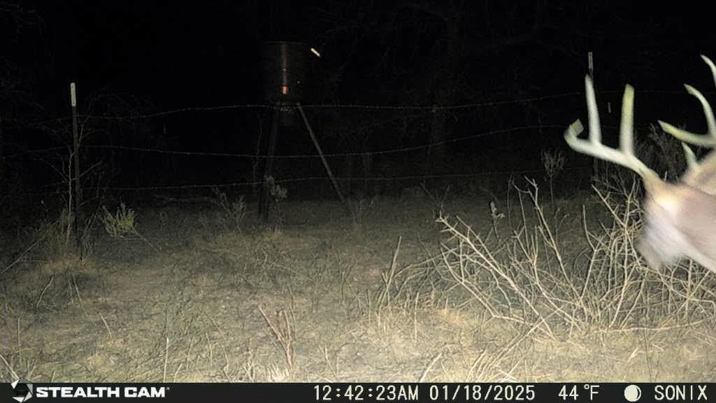 5 acres in Jack County - photo 16