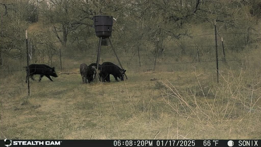 5 acres in Jack County - photo 18