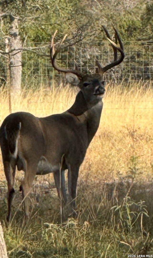 60.78 acres in Kerr County - photo 51