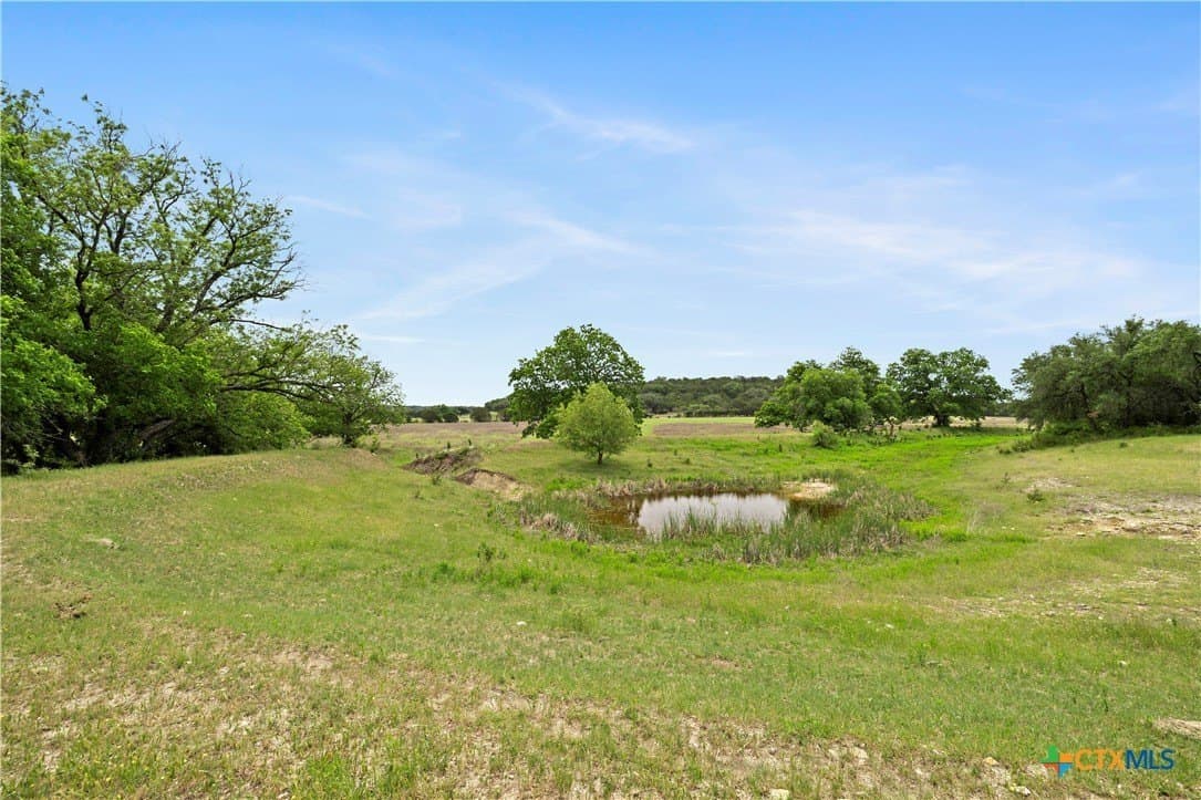 328.4 acres in Coryell County - photo 4