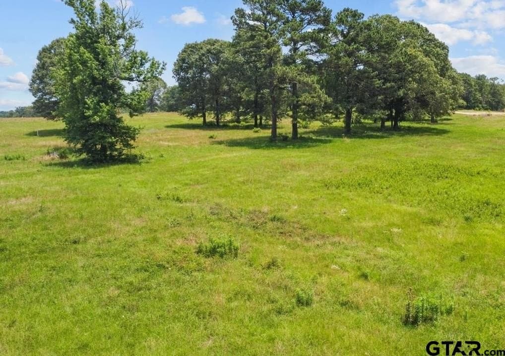 5 acres in Upshur County - photo 8