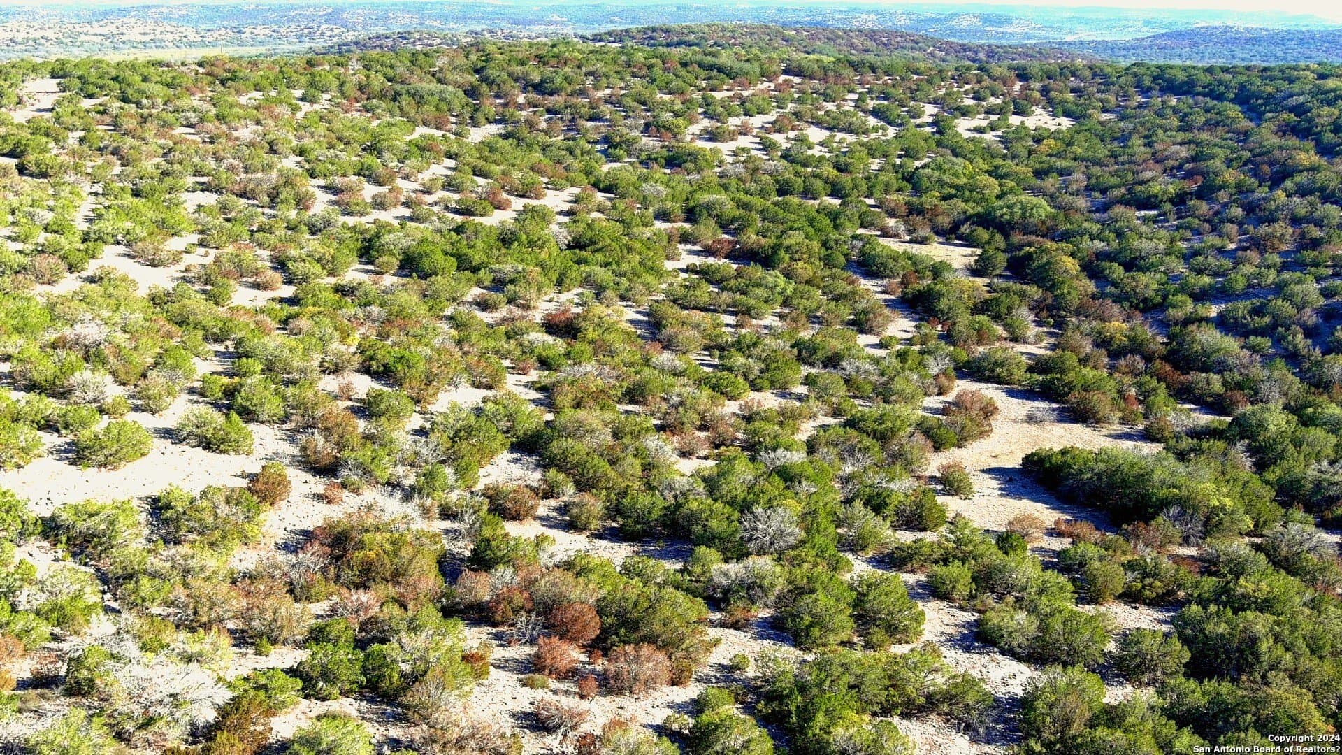 359 acres in Edwards County - photo 10