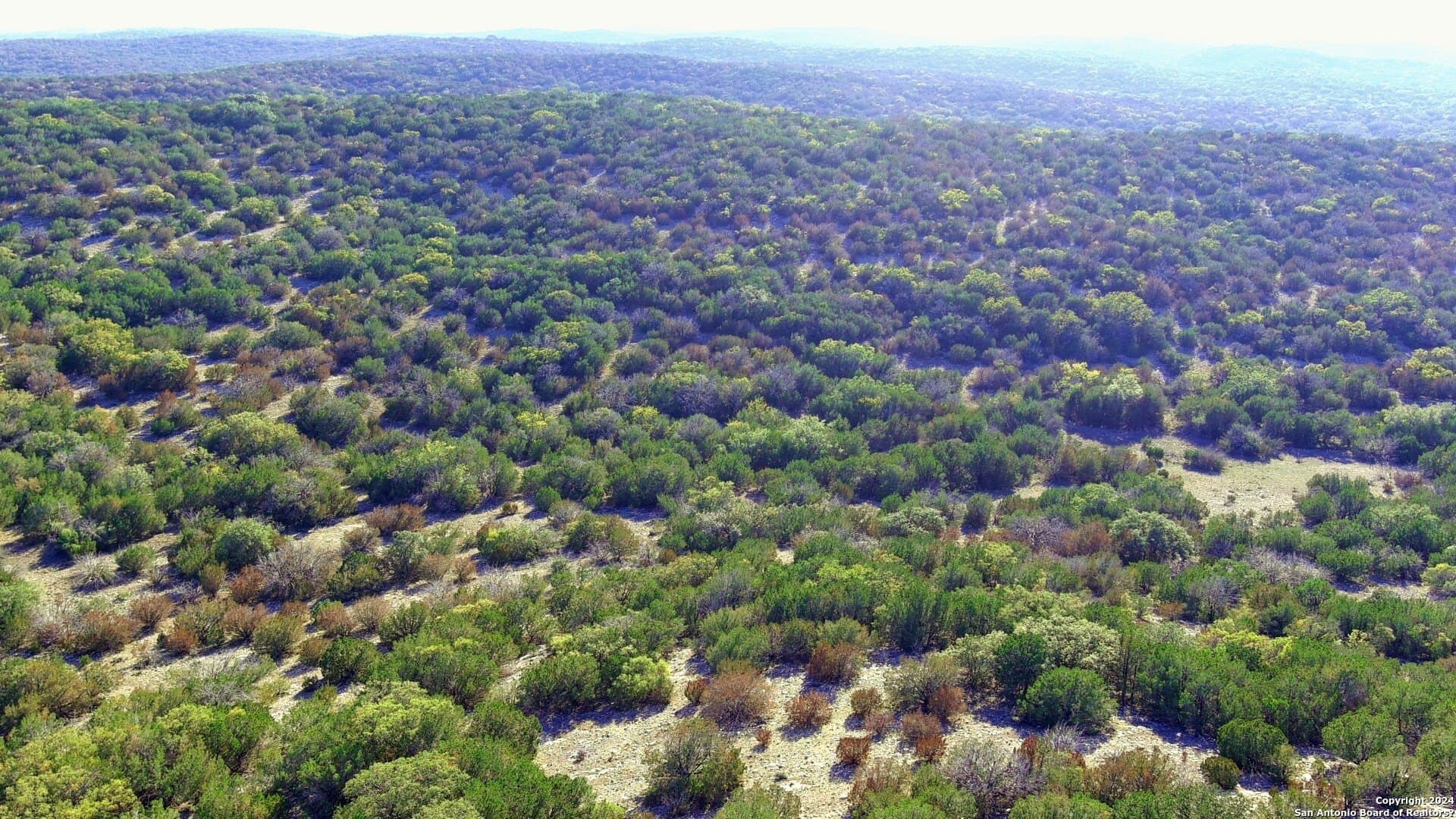 359 acres in Edwards County - photo 3