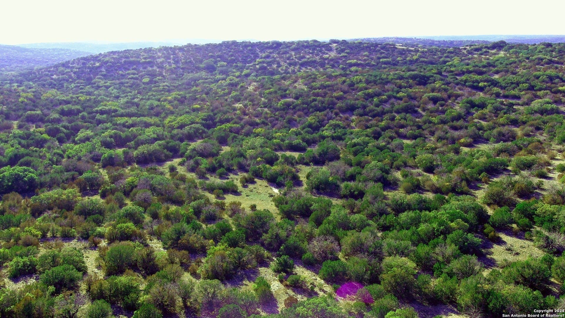 359 acres in Edwards County - photo 16