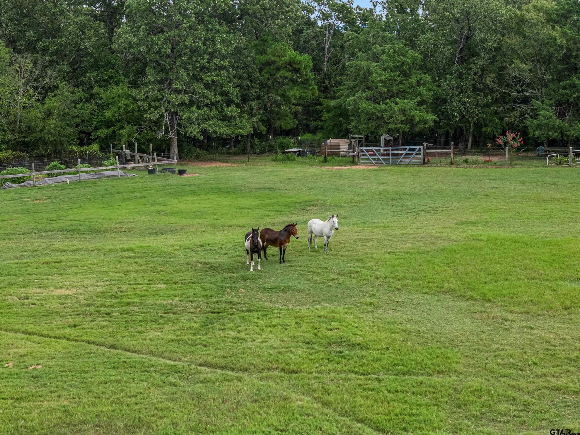 21.5 acres in Upshur County - photo 47