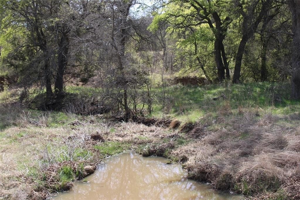 21 acres in Jack County - photo 8