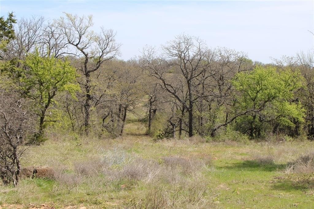 21 acres in Jack County - photo 6
