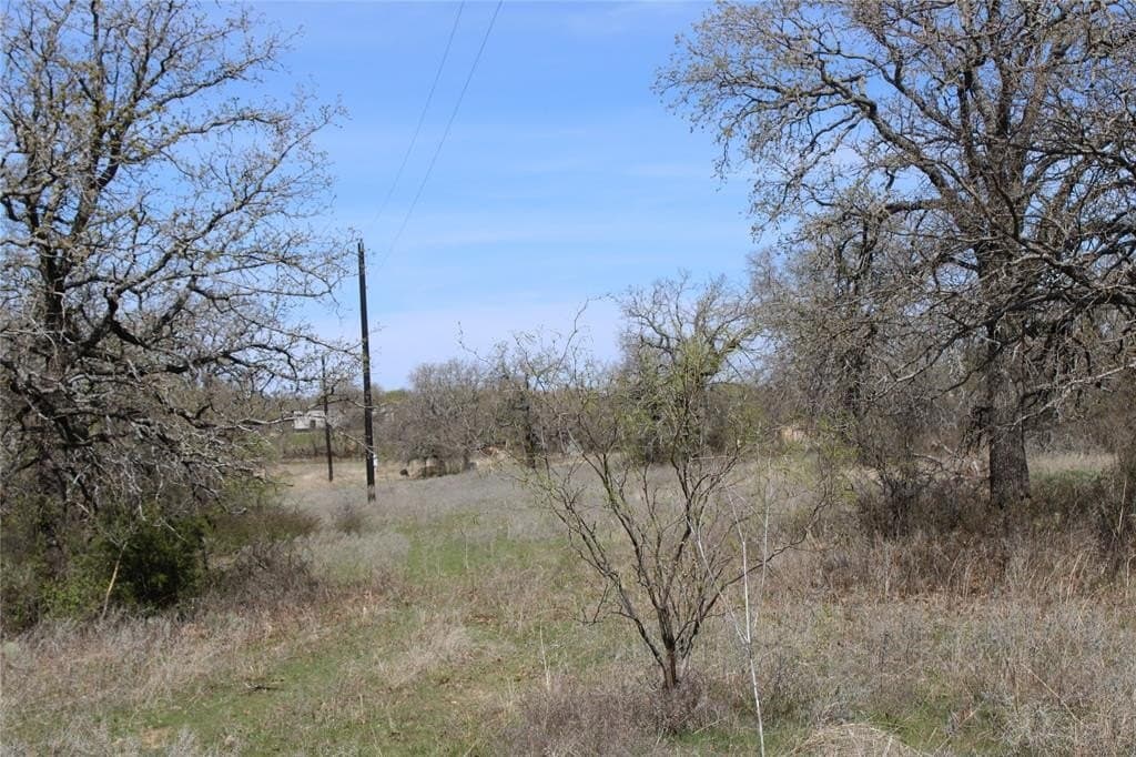21 acres in Jack County - photo 4