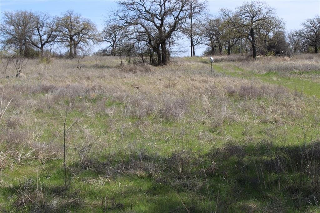 21 acres in Jack County - photo 3