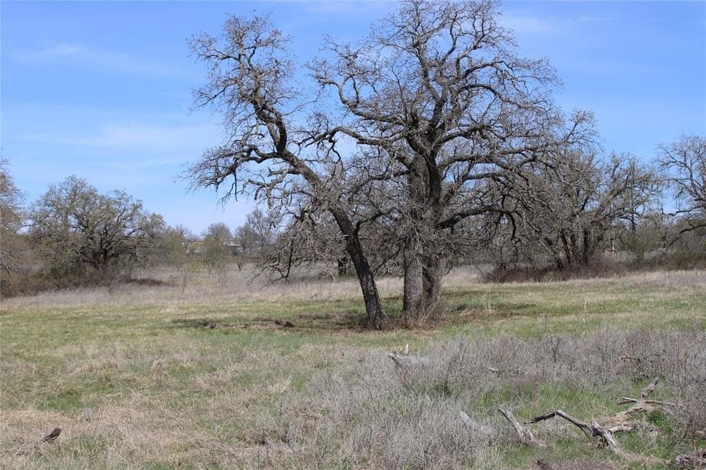 21 acres in Jack County - photo 2