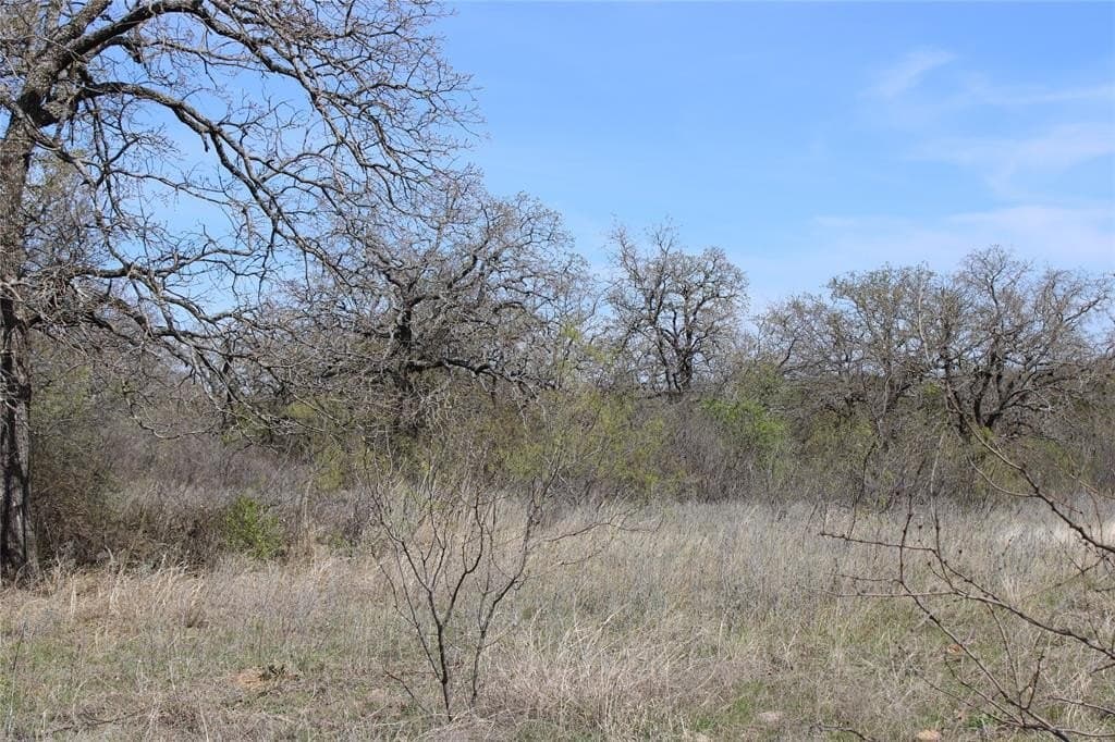 21 acres in Jack County - photo 5