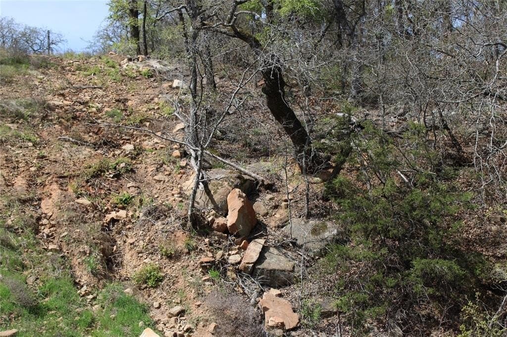 21 acres in Jack County - photo 13