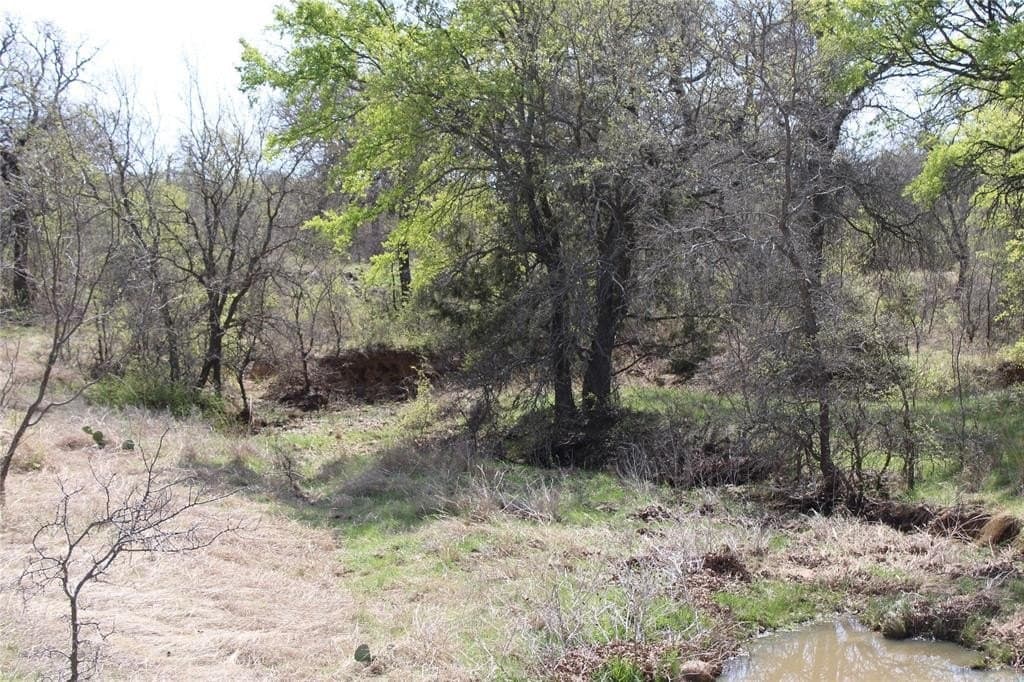 21 acres in Jack County - photo 10