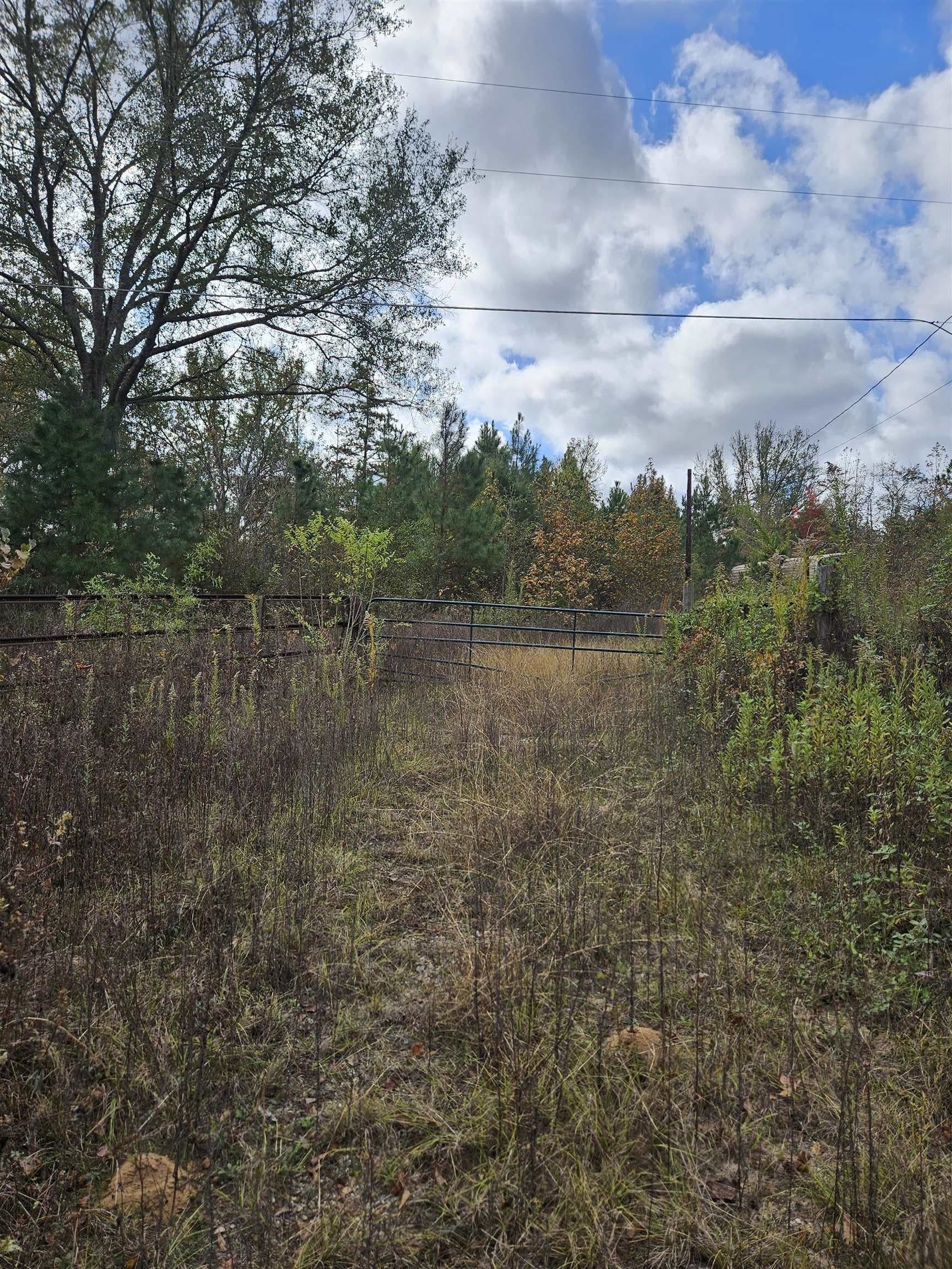 27.79 acres in Smith County - photo 3
