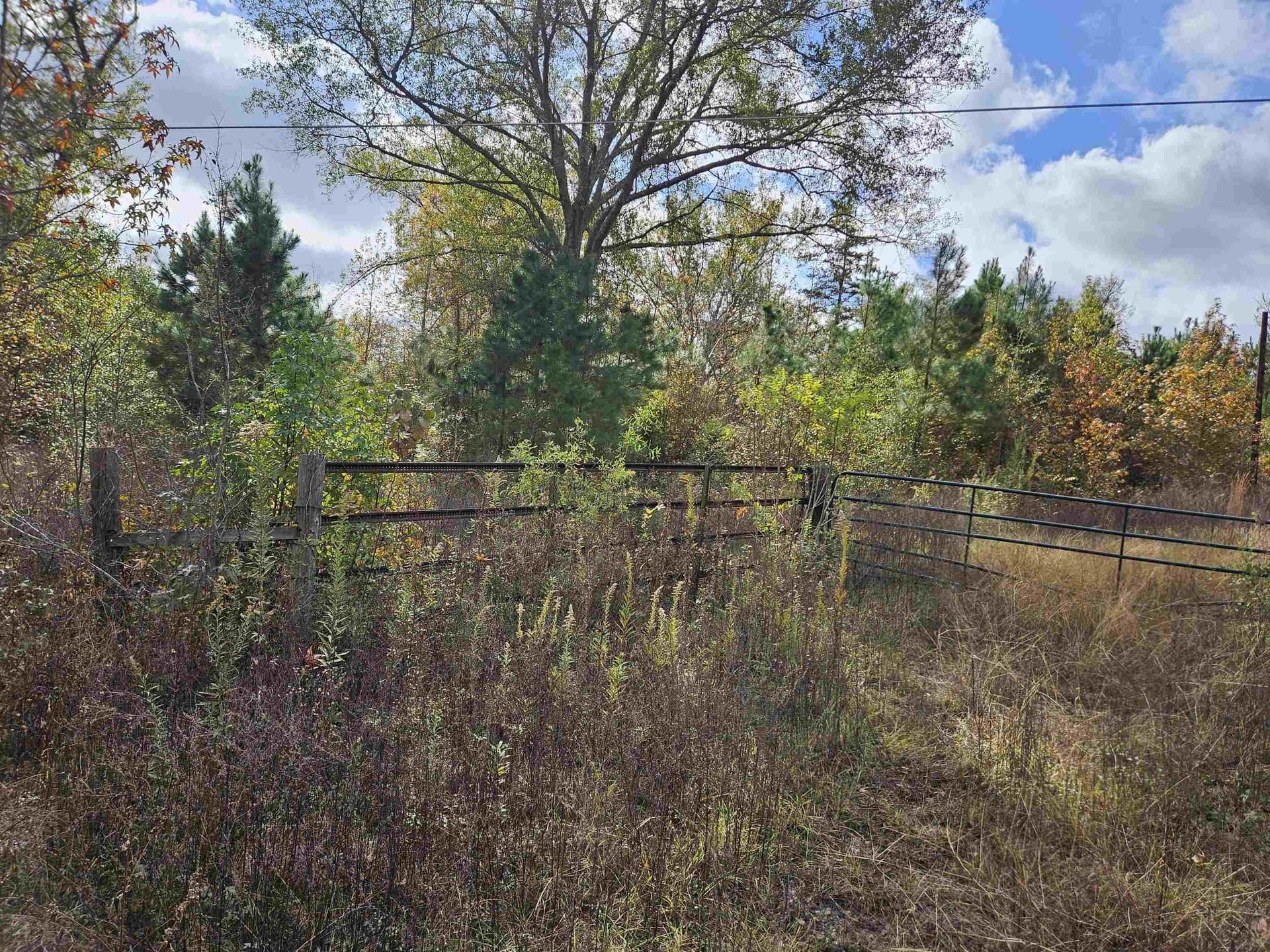 27.79 acres in Smith County - photo 5