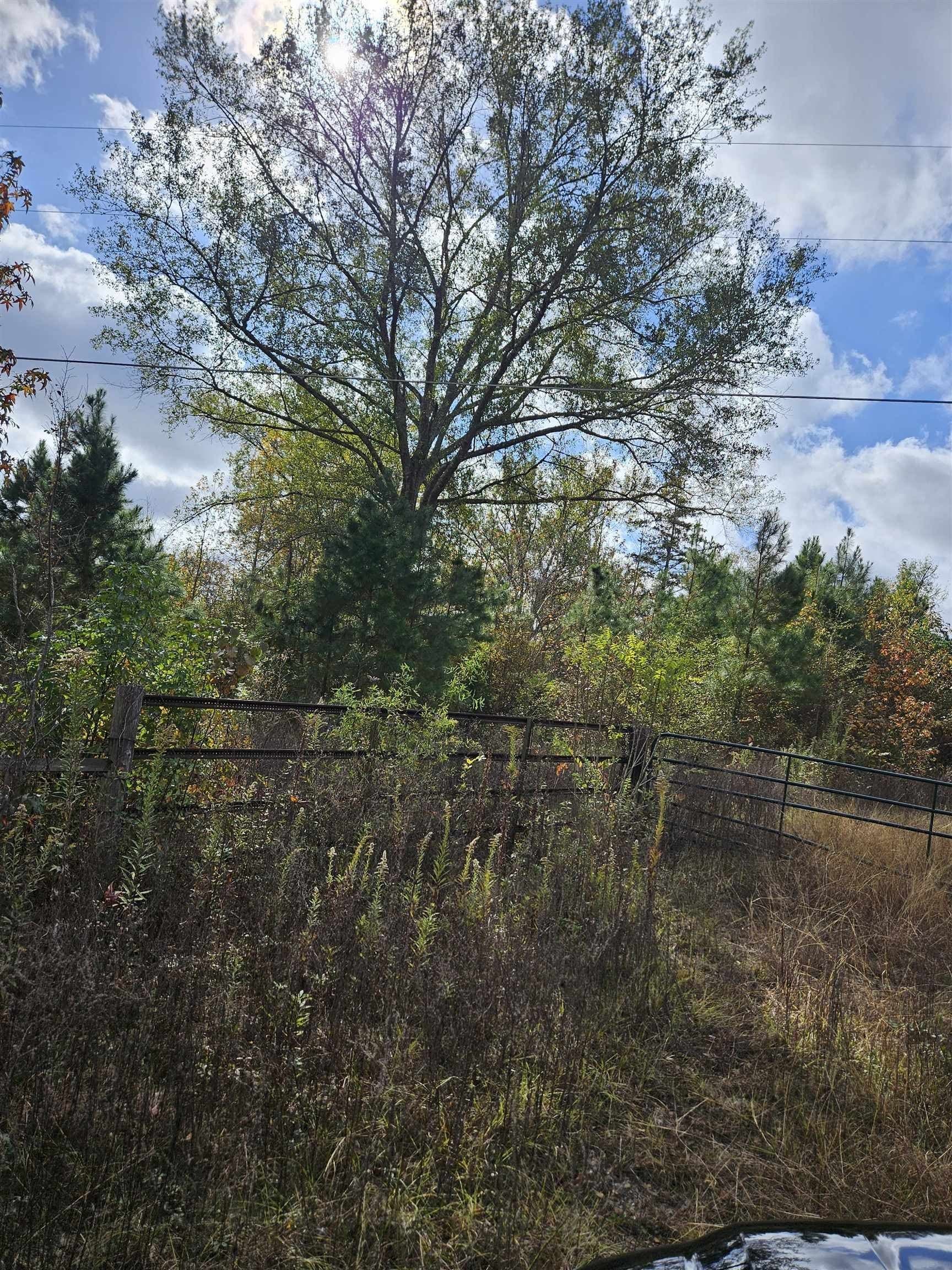 27.79 acres in Smith County - photo 6
