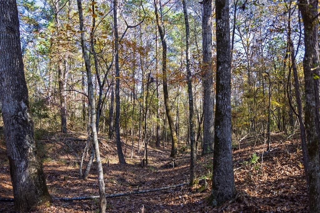70 acres in Houston County - photo 18