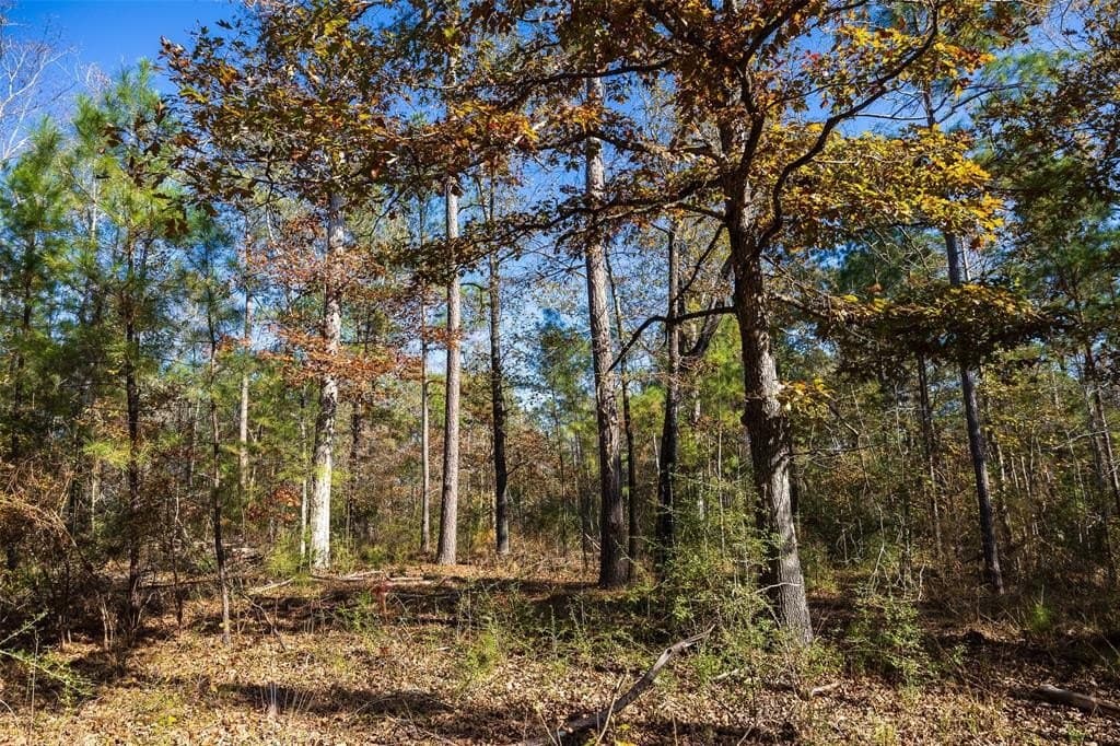 70 acres in Houston County - photo 8