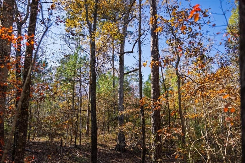 70 acres in Houston County - photo 6
