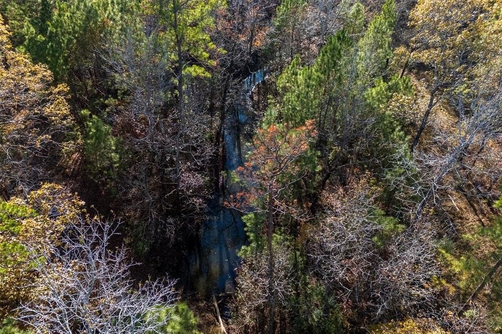 70 acres in Houston County - photo 3