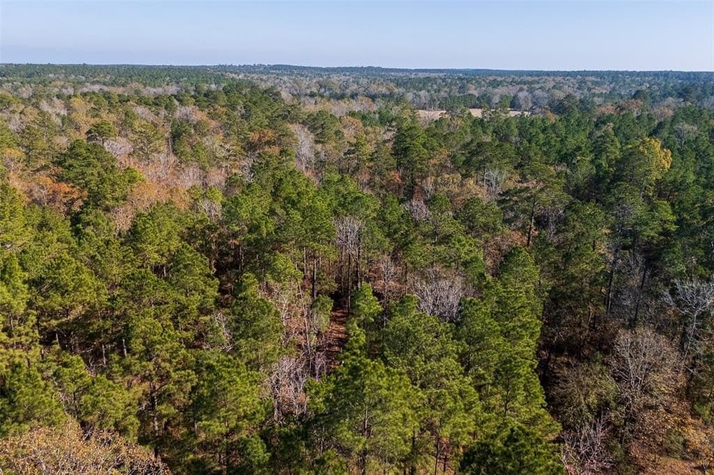 70 acres in Houston County - photo 22