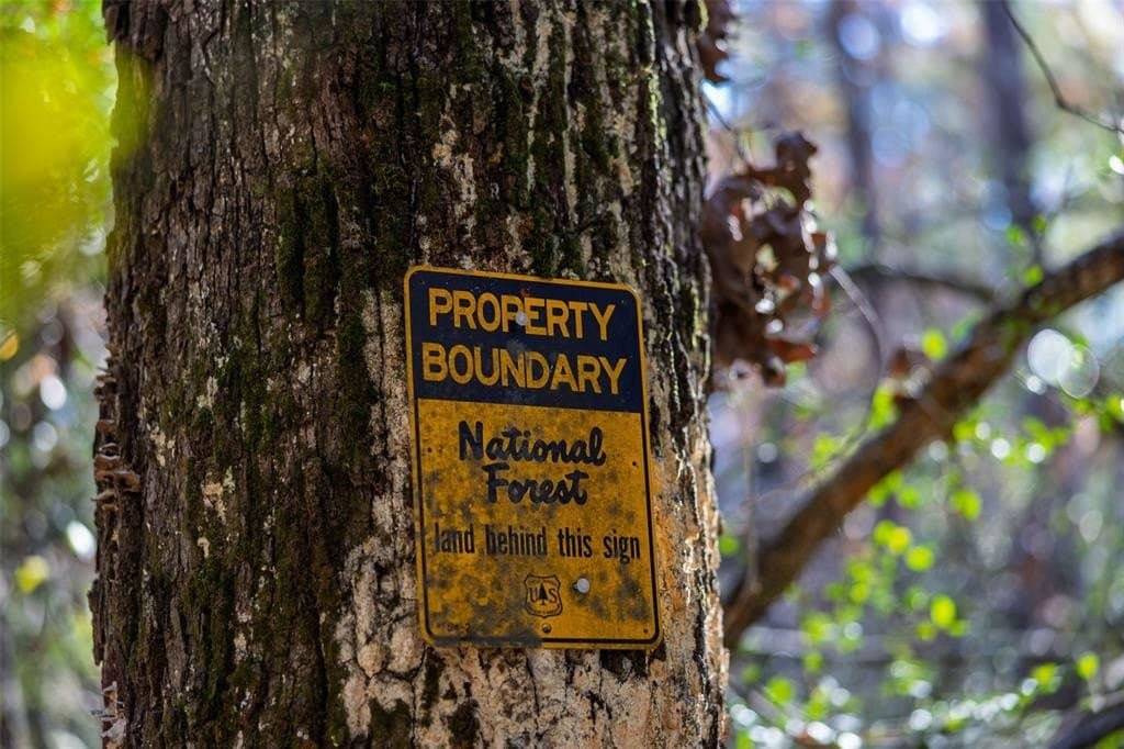 70 acres in Houston County - photo 15