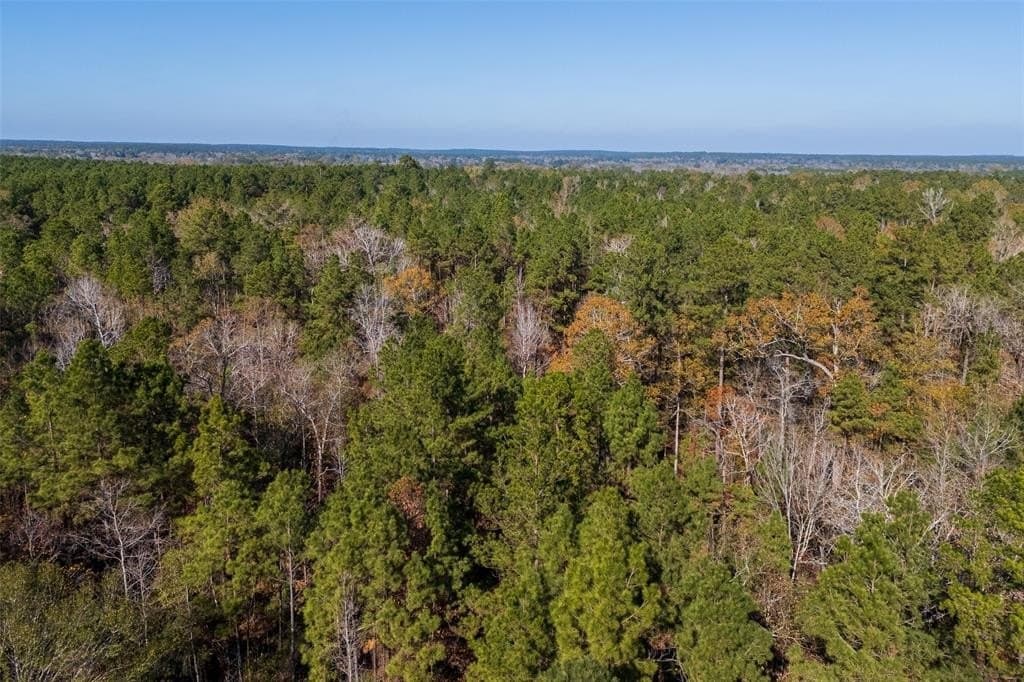 70 acres in Houston County - photo 21
