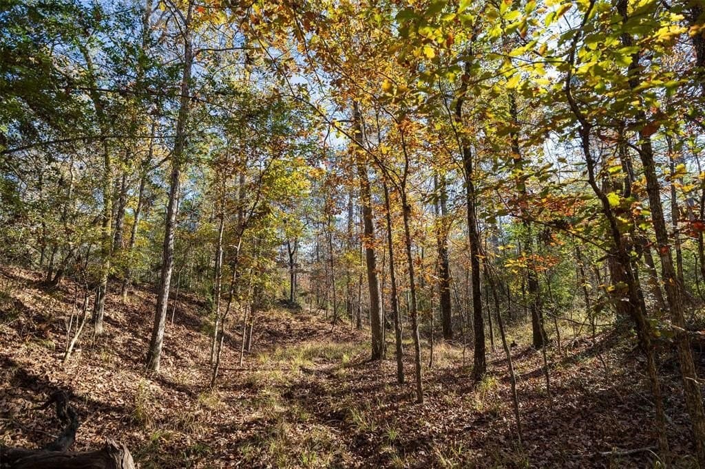 70 acres in Houston County - photo 2
