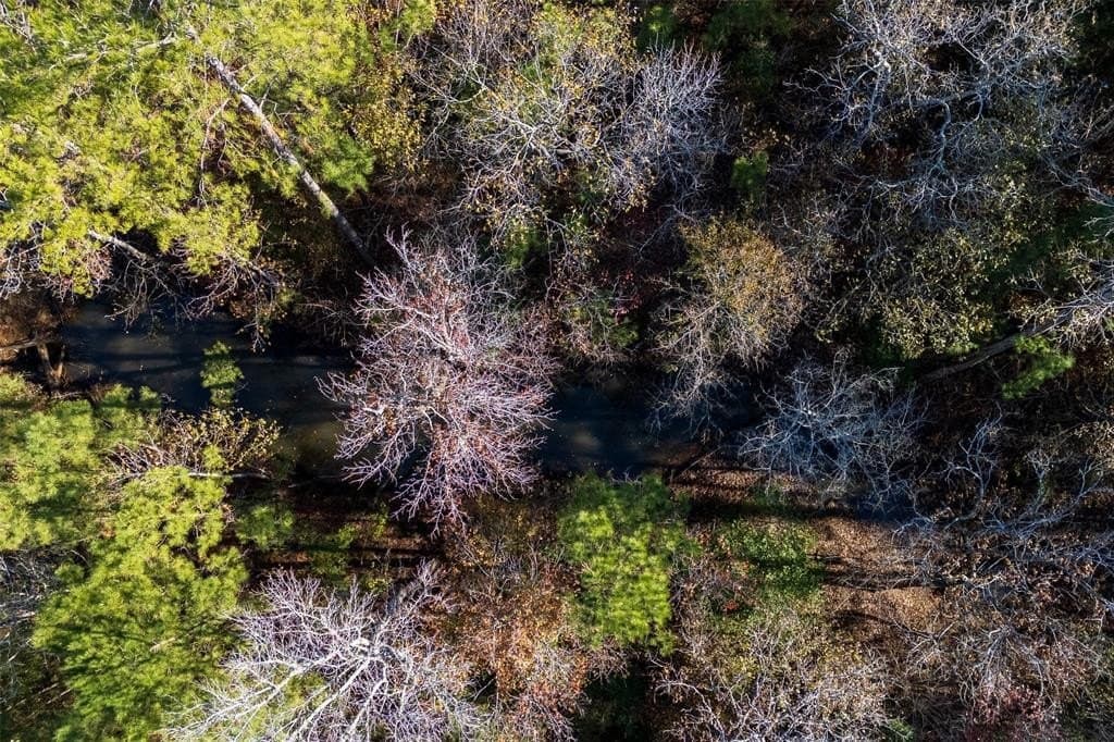 70 acres in Houston County - photo 4