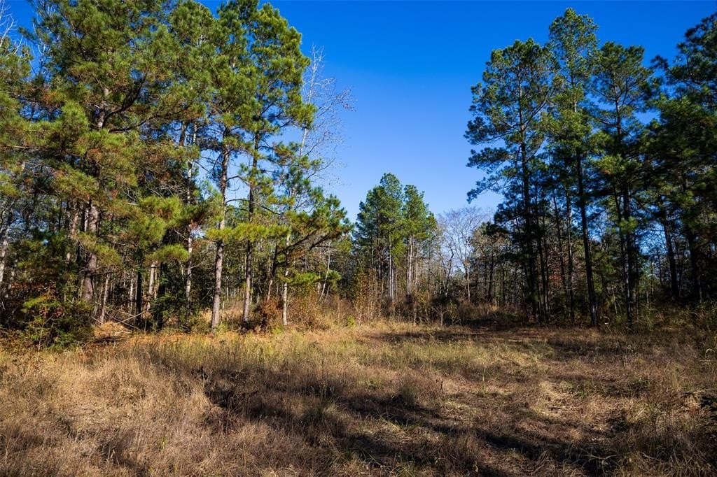 70 acres in Houston County - photo 19