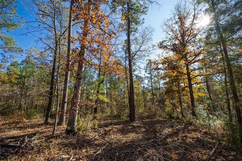 70 acres in Houston County - photo 12