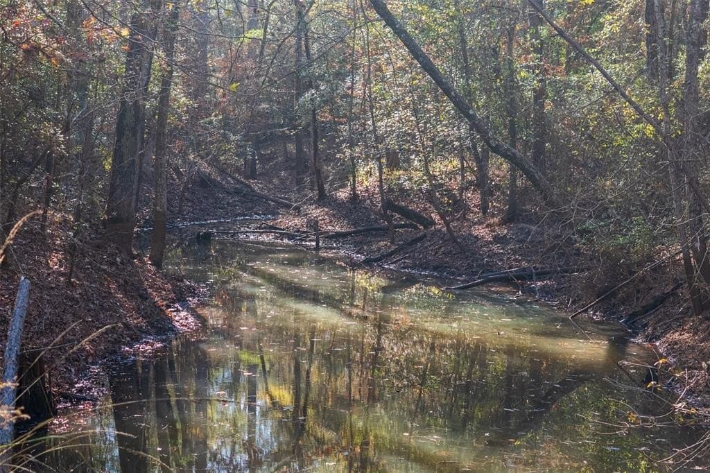 70 acres in Houston County - photo 5