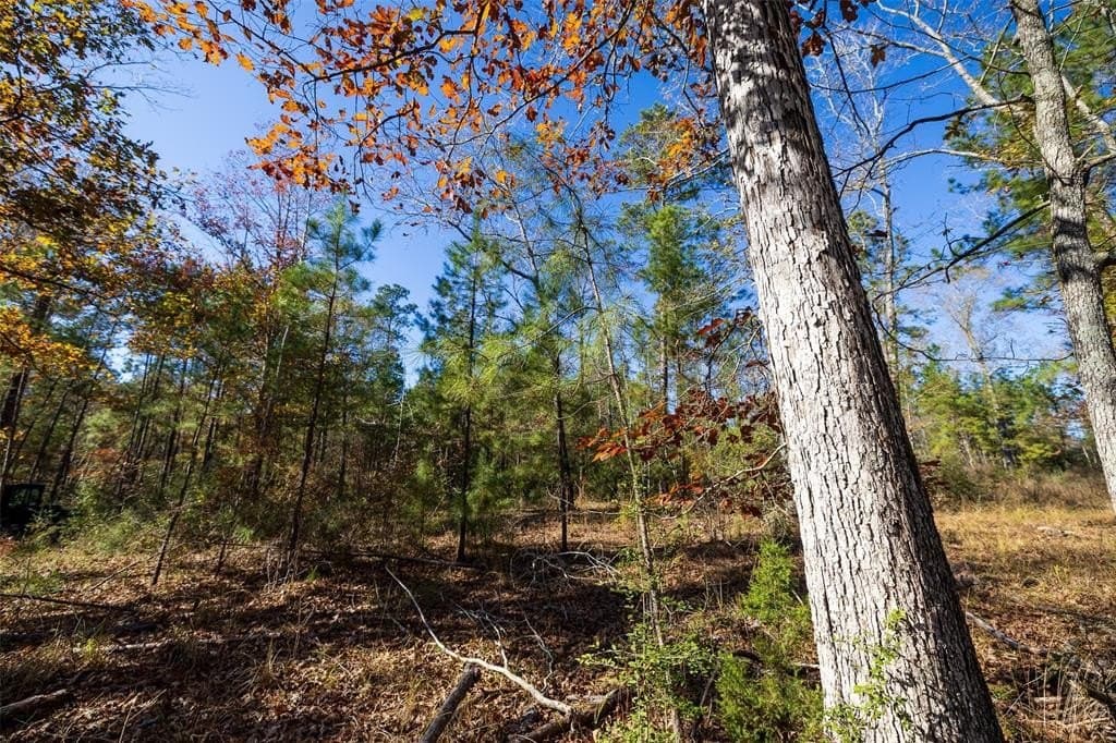 70 acres in Houston County - photo 10