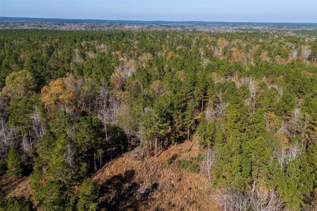 70 acres in Houston County - photo 20