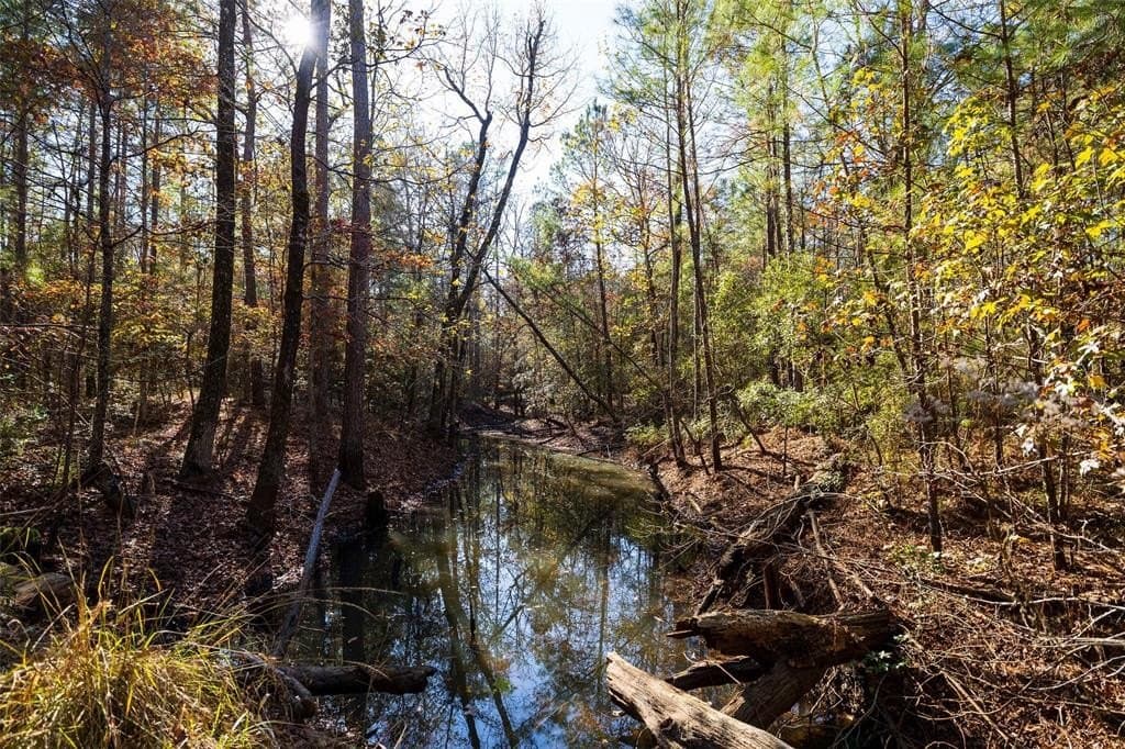 70 acres in Houston County - photo 14