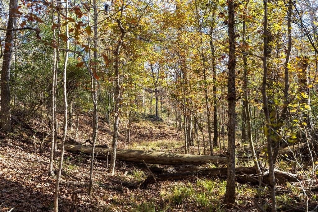 70 acres in Houston County - photo 13