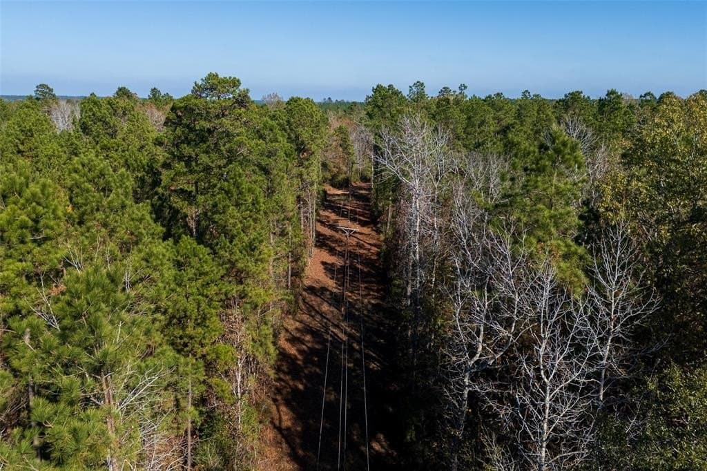 70 acres in Houston County - photo 23
