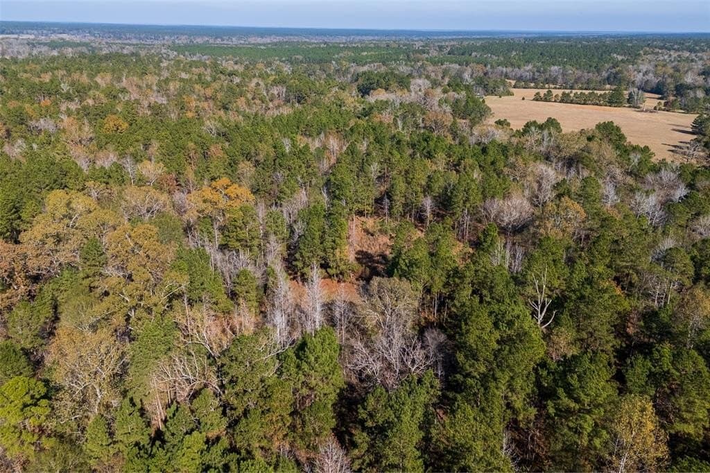 70 acres in Houston County - photo 26