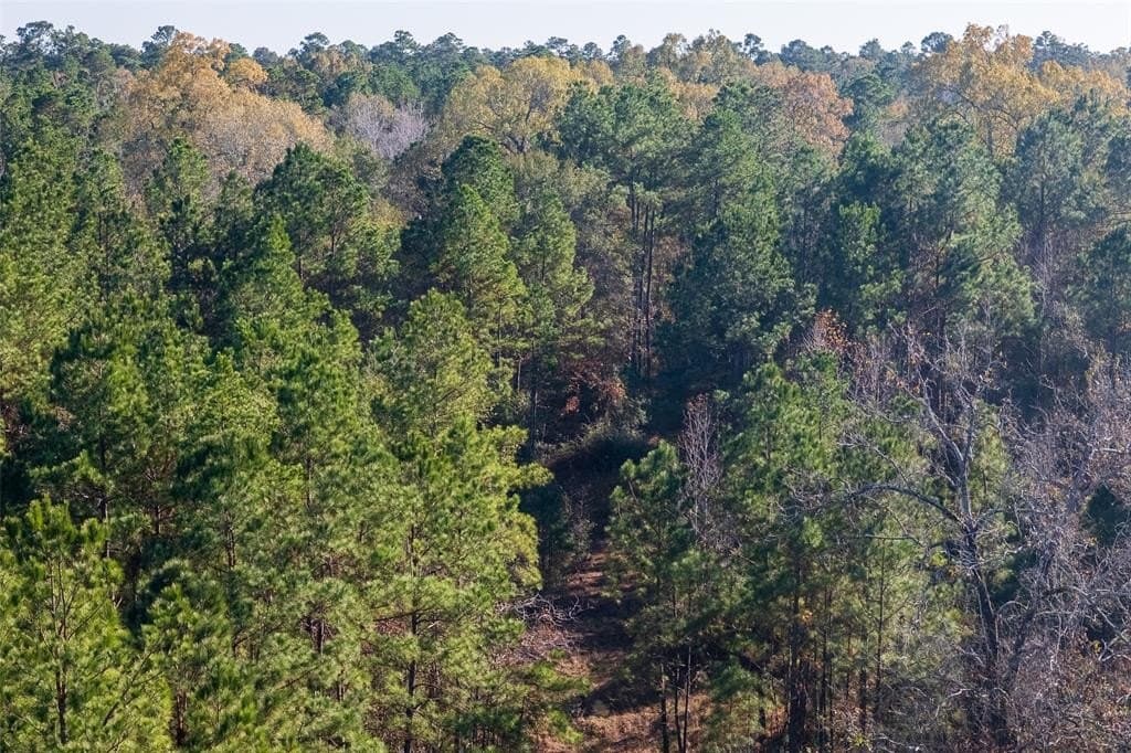 70 acres in Houston County - photo 24