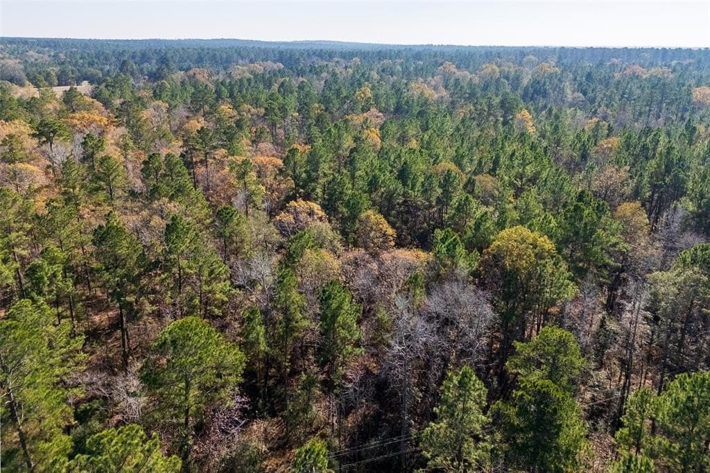 70 acres in Houston County - photo 25