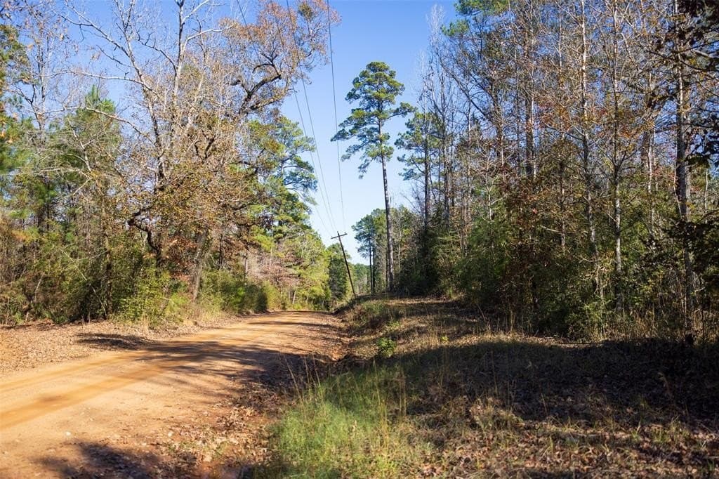 70 acres in Houston County - photo 16