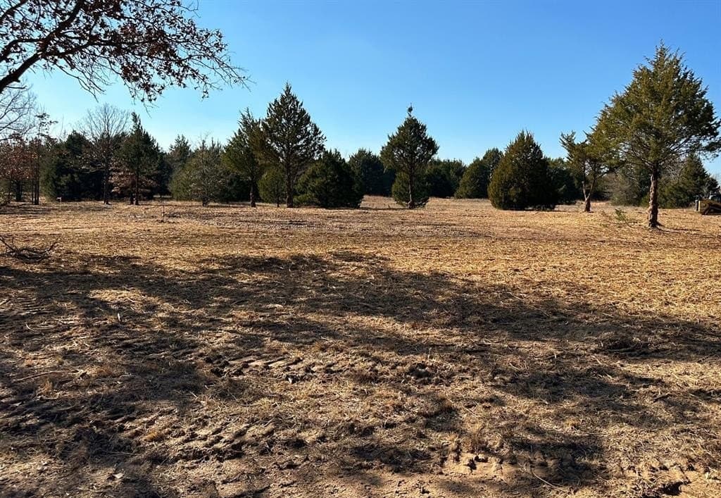 16.87 acres in Grayson County - photo 2