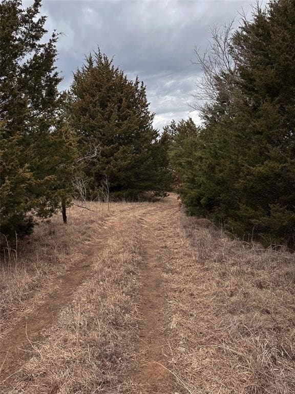 16.87 acres in Grayson County - photo 5