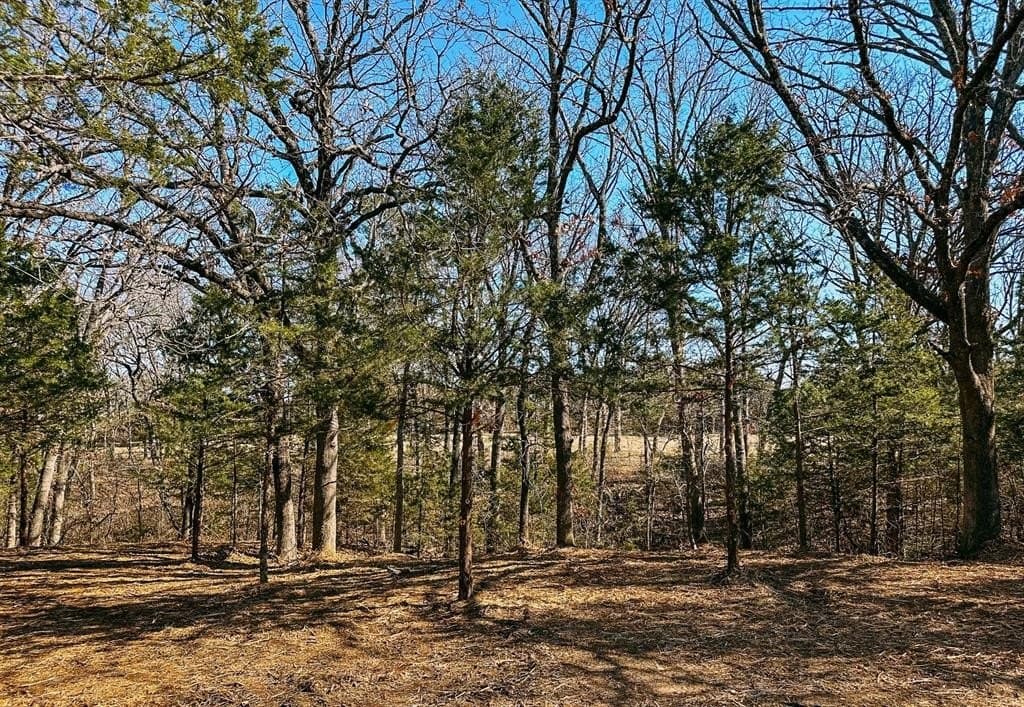 16.87 acres in Grayson County - photo 4