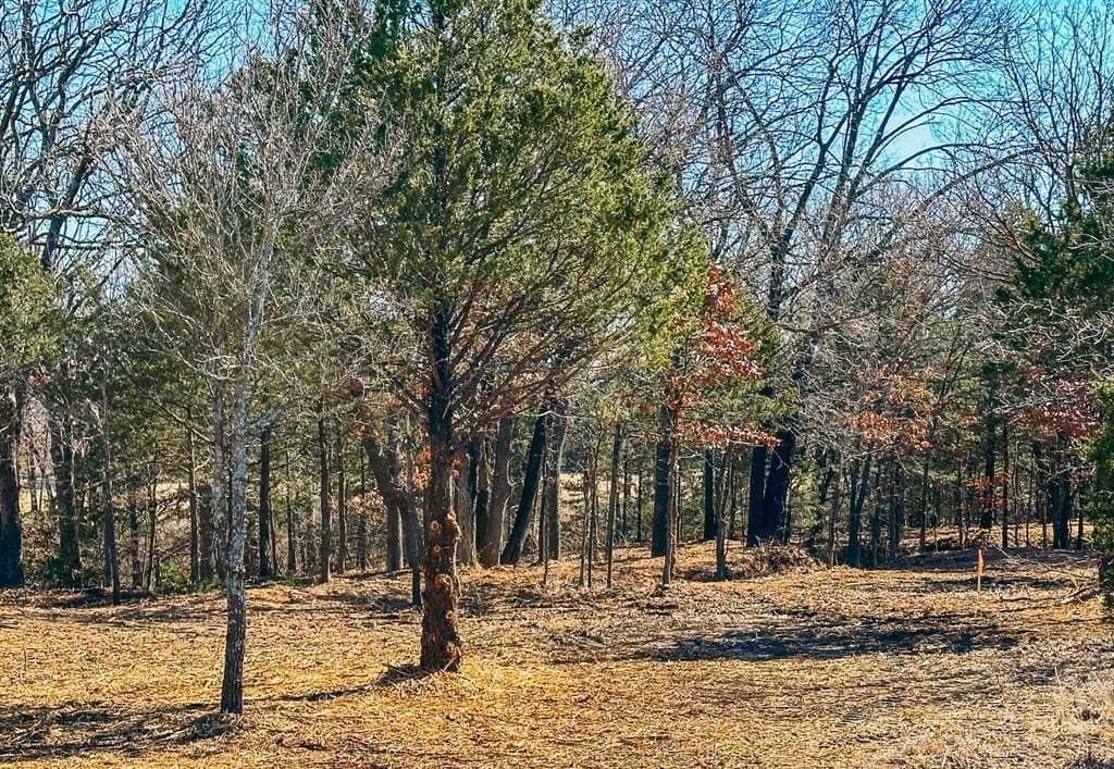 16.87 acres in Grayson County - photo 6