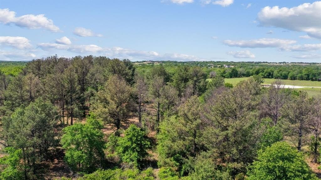 2.05 acres in Parker County - photo 7