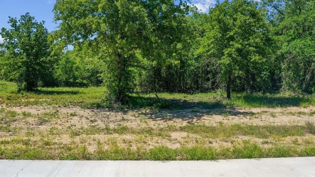 2.05 acres in Parker County - photo 4