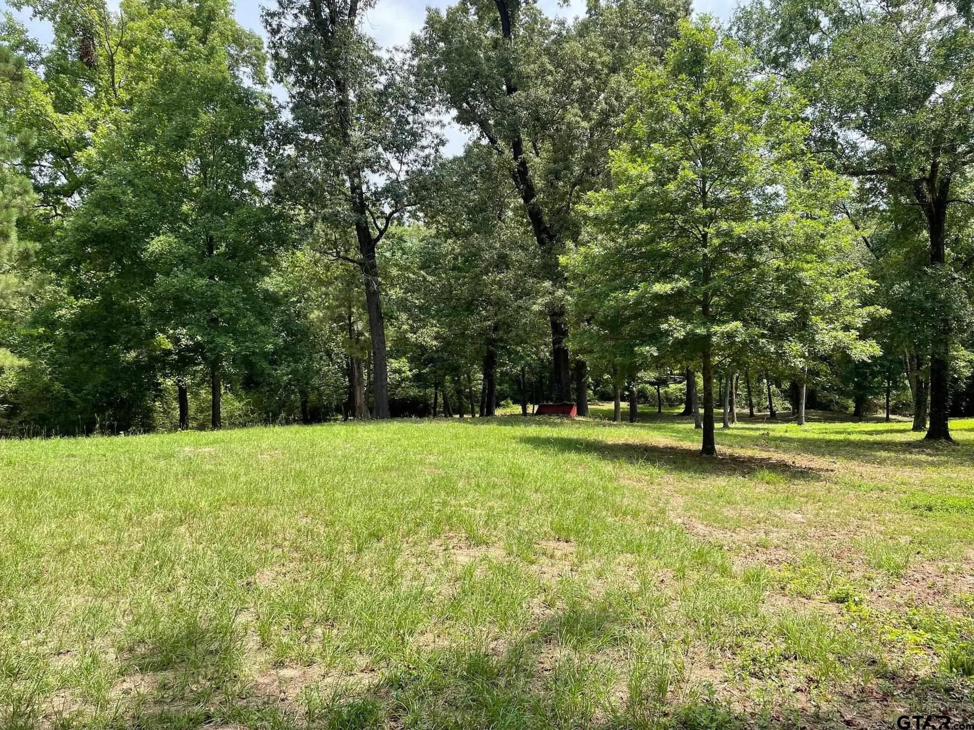 2.24 acres in Camp County - photo 4