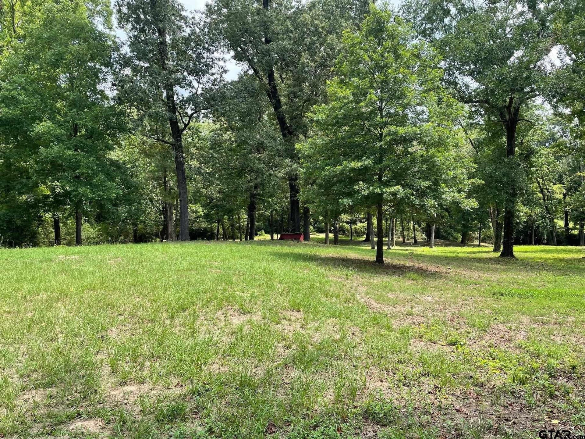 2.24 acres in Camp County - photo 5