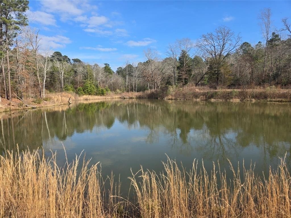 42 acres in Upshur County - photo 5